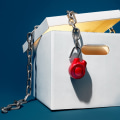 Understanding the Freedom of Information Law in New York